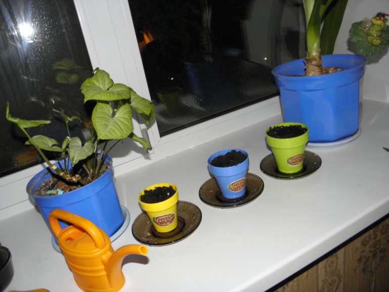 Мелкая моторика занятие 23