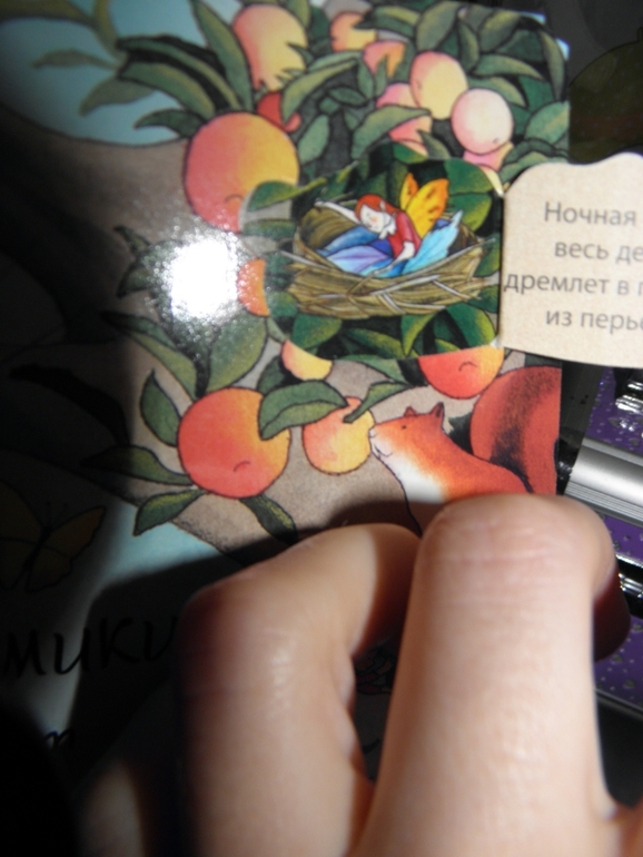 Хотите узнать как живут феи и эльфы!?