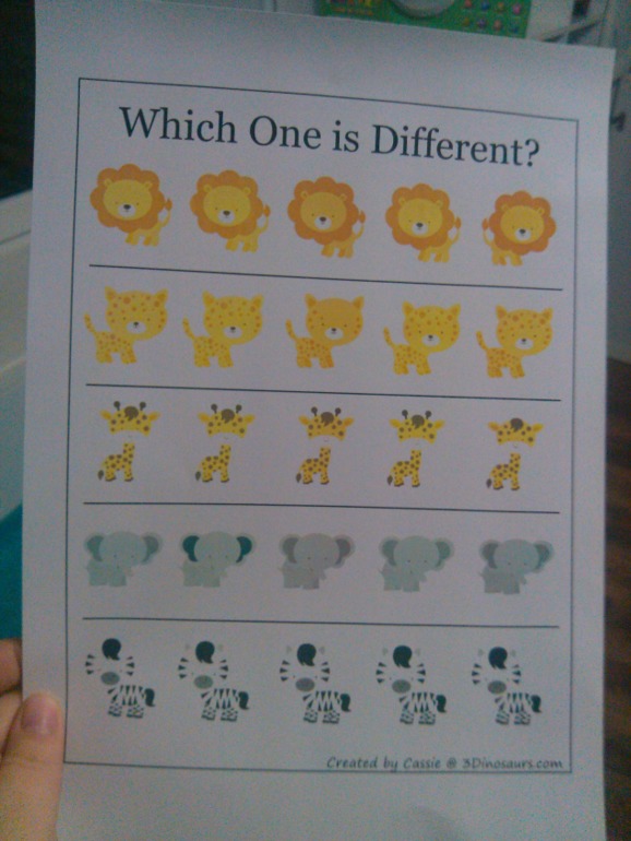 Путешествие в Африку!