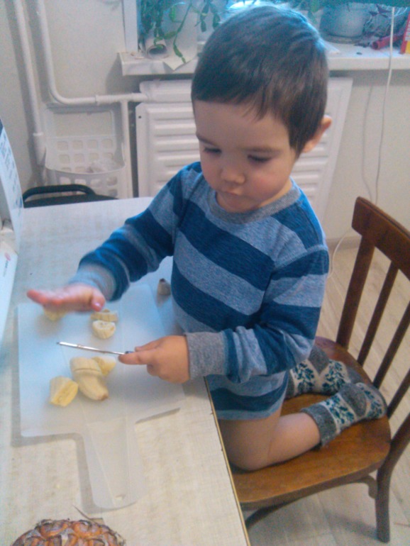 Путешествие в Африку!