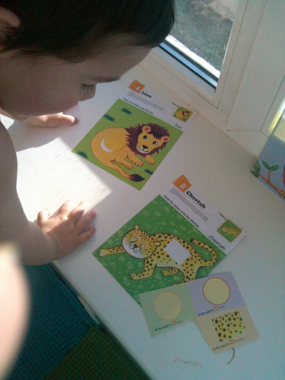 Путешествие в Африку!