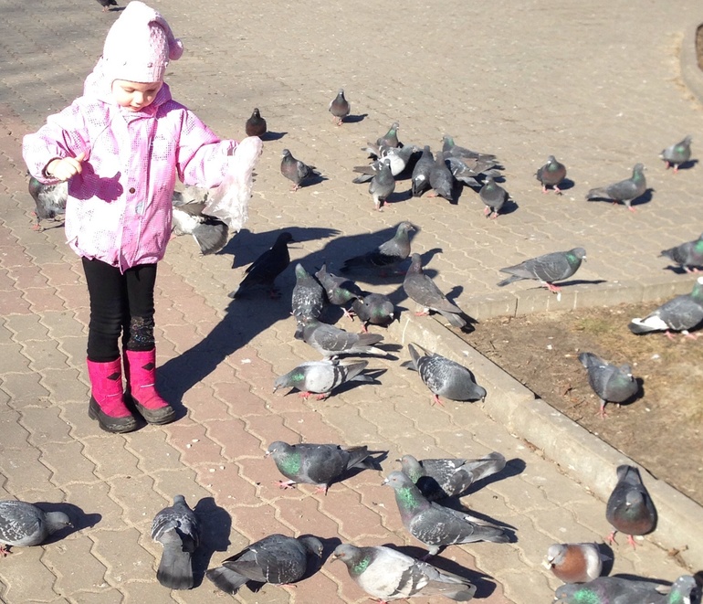 Весенняя прогулка!!!