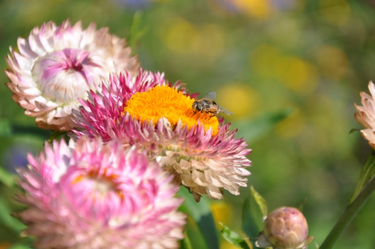 Просто кусочек позитива))))