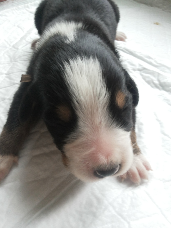 Наши детки подросли...