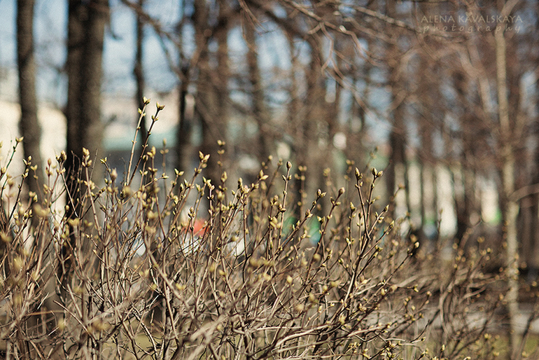 Весна с любимыми