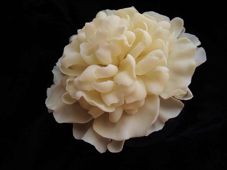 Молочный пион