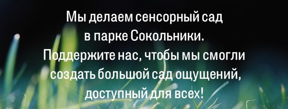 Сенсорный сад-конструктор в парке Сокольники