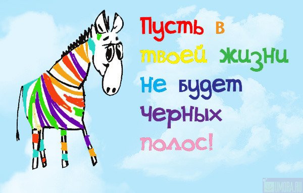 c909c86d6f3f9ce671a409d0e7a077c0.jpg