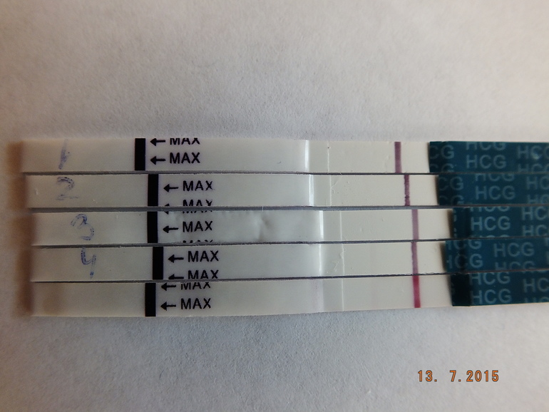 Тест не показывает беременность форум