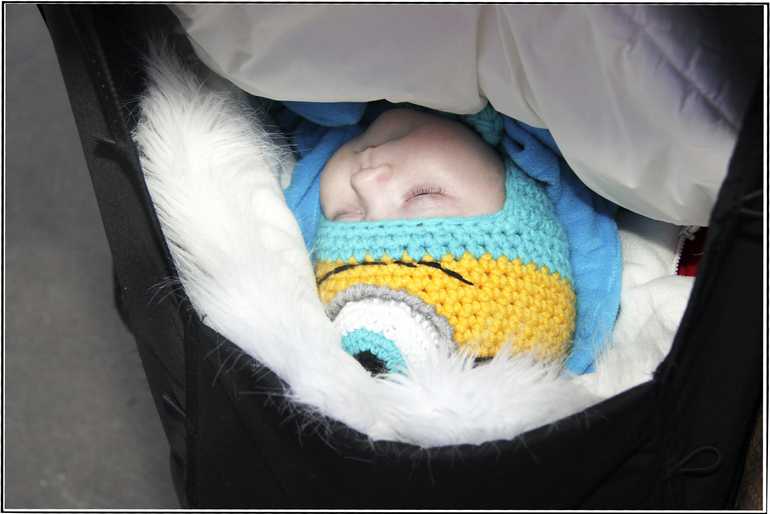 Адепты филоводства.