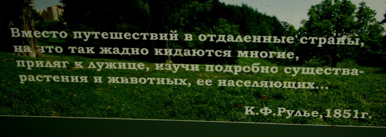 0063f83954b336cabe376ed61fb8ea12.jpg
