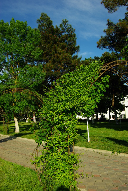 Абрау Дюрсо май 2014