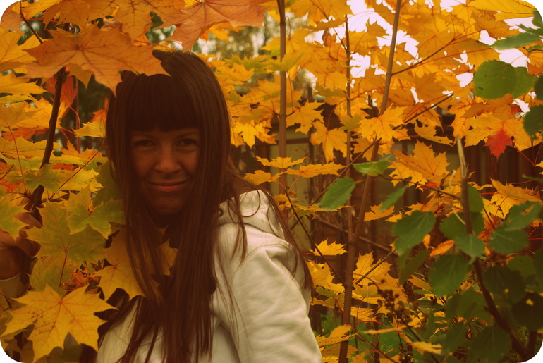 d2136ee1d5a641fa2cbd2c902109b256.jpg