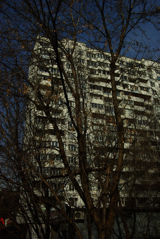 ИРОНИЯ СУДЬБЫ, или с легким паром!