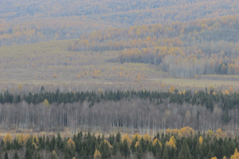 Осенние занятия