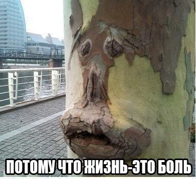 Мдк с утра порадовал :)