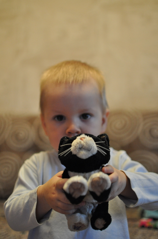 Немного солнышка,и просто пару фоток!