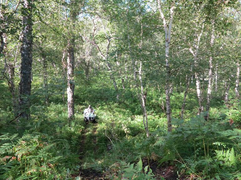 Камчатка - любовь моя. Осторожно, куча фото)