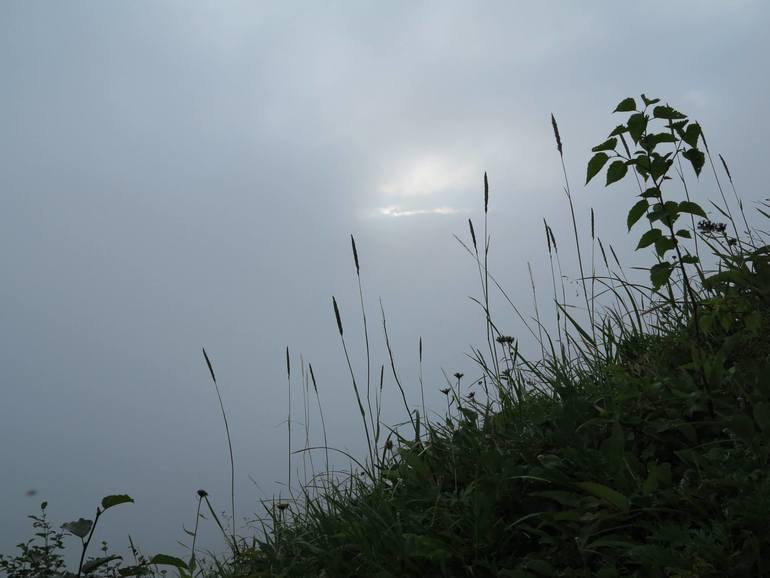 Камчатка - любовь моя. Осторожно, куча фото)