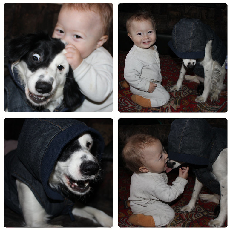 10-ка и про любоФ )