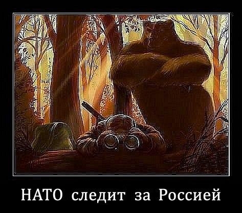 Позитивчик:)