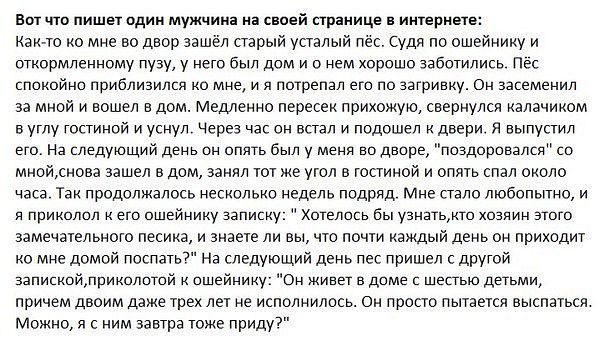 Позитивчик:)