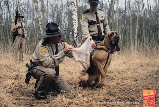 Креатив с учатием животных.