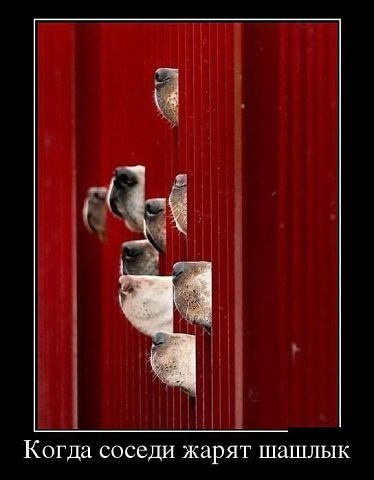 От улыбки, станет всем светлей...:)