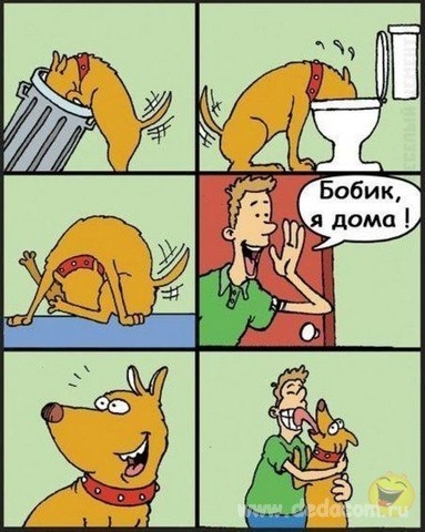 От улыбки, станет всем светлей...:)