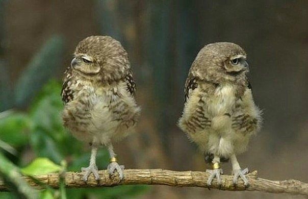 От улыбки, станет всем светлей...:)