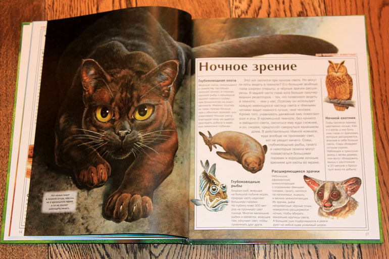 Атлас животных.