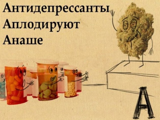 6650b2e6c135e446d94909758db77839.jpg