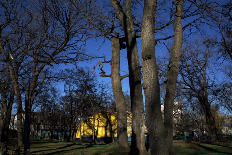 наш солнечный День матери