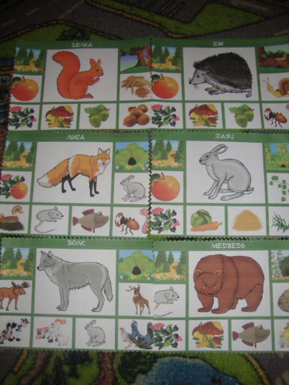 ТН "В осенним лесу"