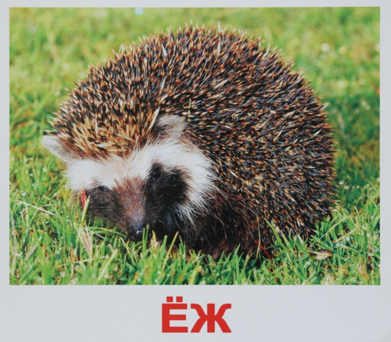 ТН "В осенним лесу"