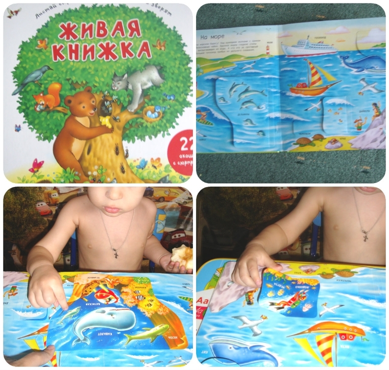 d95e0720dce2f989eee2de1cc4133642.jpg
