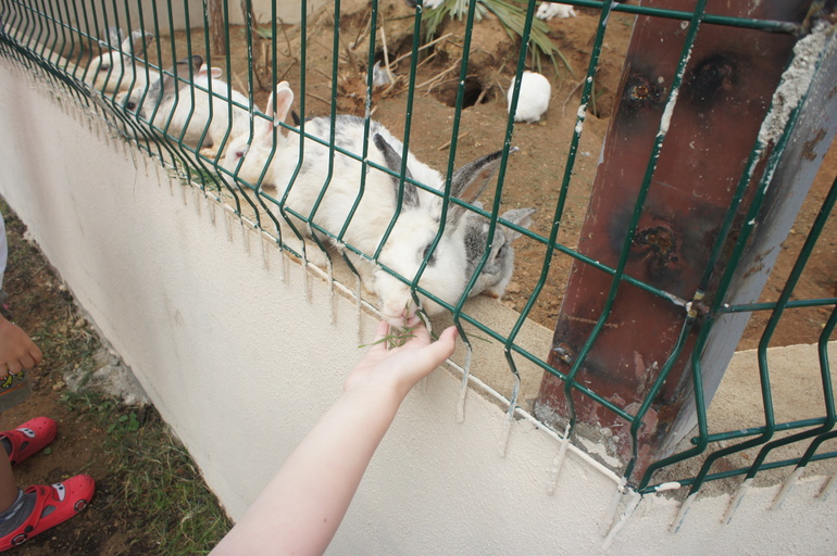 Club Hotel Turan Prince World 5* в мае