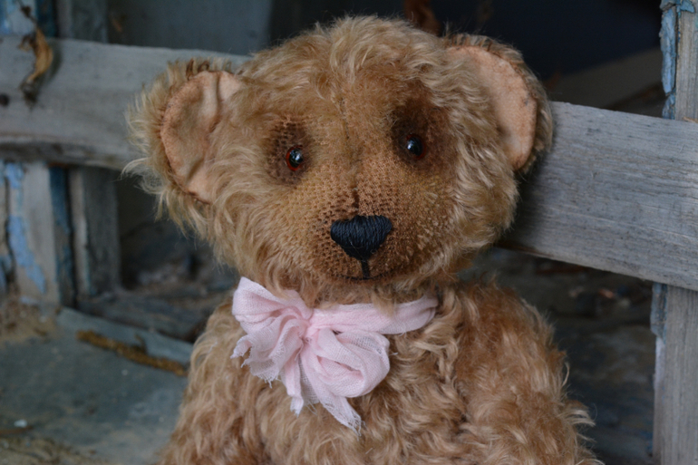 Мишку бросила хозяйка :)