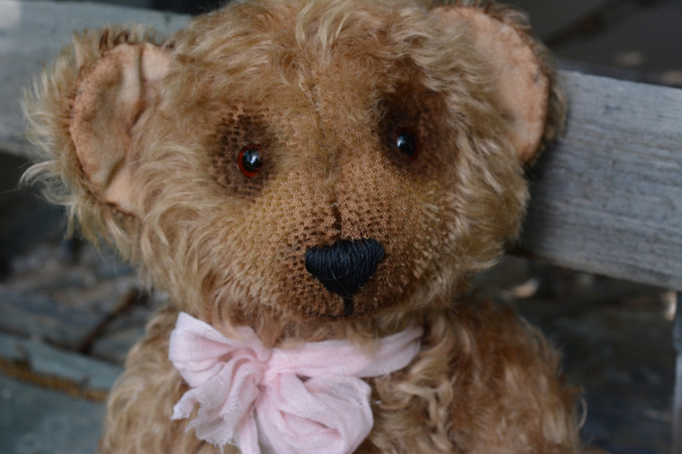 Мишку бросила хозяйка :)