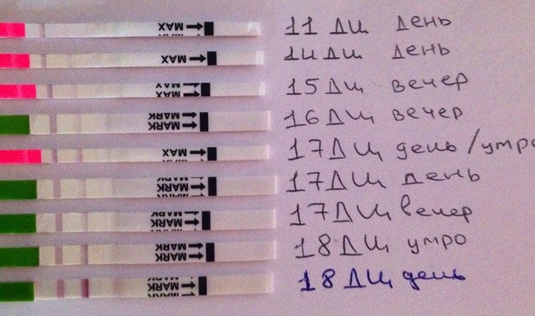 Помогите разобраться когда была овуляция?