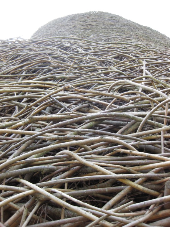 Никола-Ленивец.