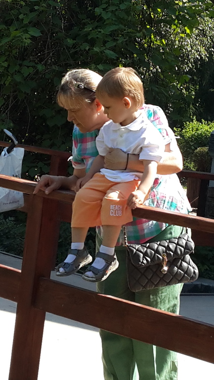 Прогулка с Аптекарский огород