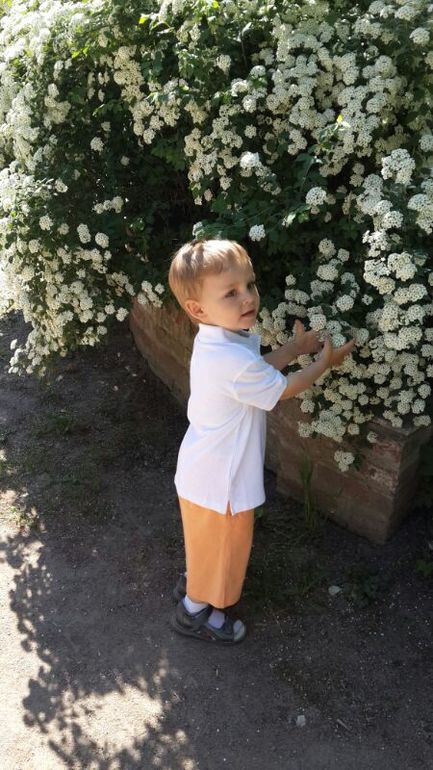 Прогулка с Аптекарский огород