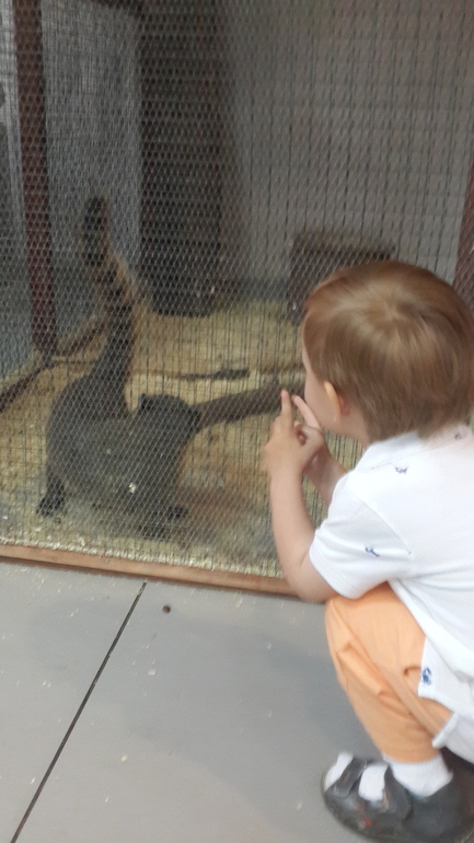 Контактный зоопарк (много фоток)