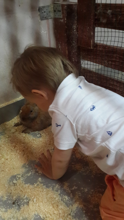 Контактный зоопарк (много фоток)