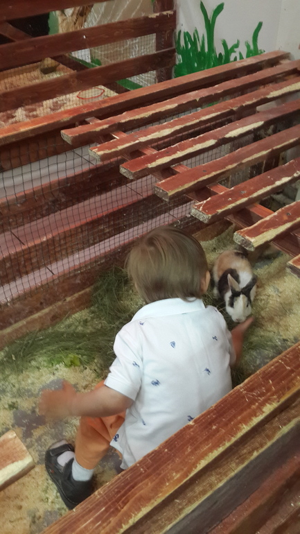 Контактный зоопарк (много фоток)