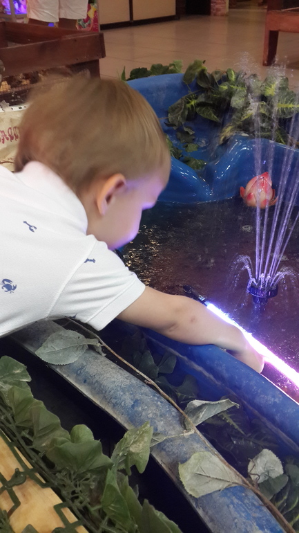 Контактный зоопарк (много фоток)