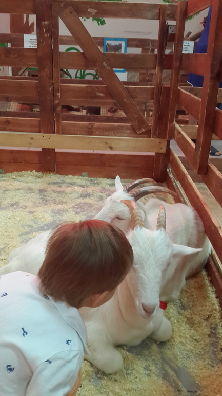 Контактный зоопарк (много фоток)