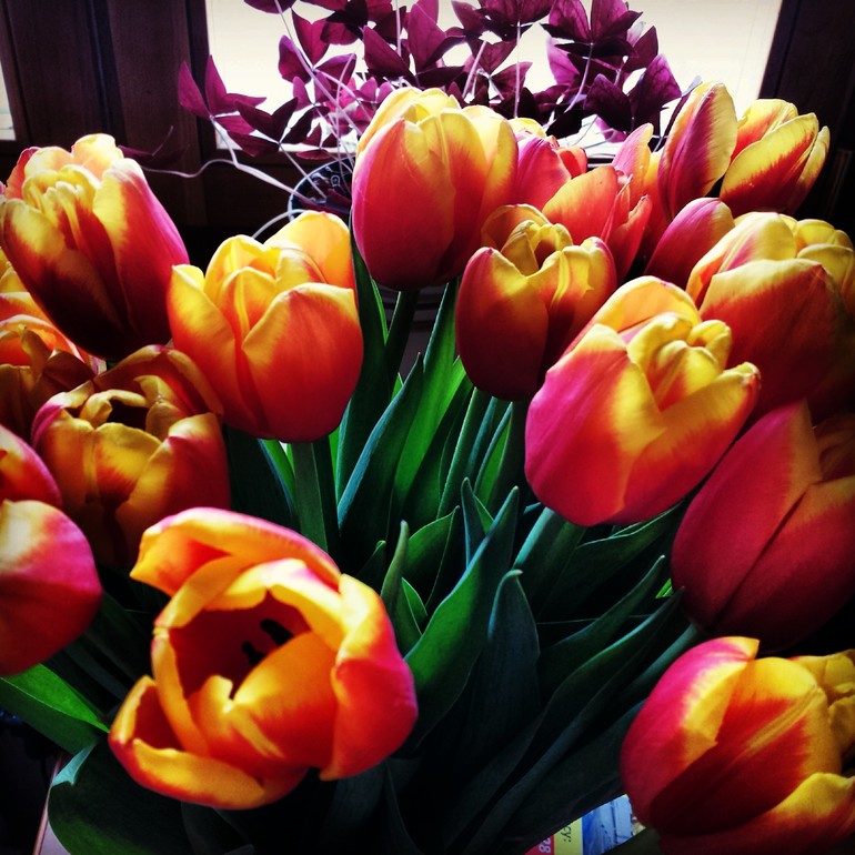 Завтра 39 неделька