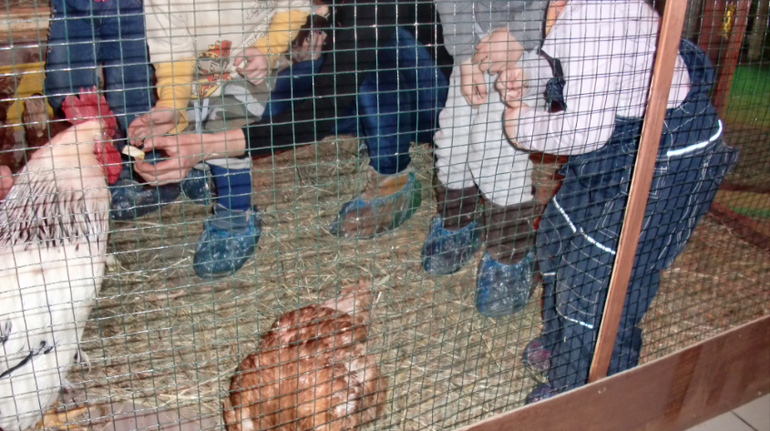 Контактный зоопарк на Тушинской (2г 5 мес)